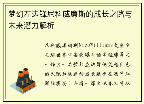 梦幻左边锋尼科威廉斯的成长之路与未来潜力解析