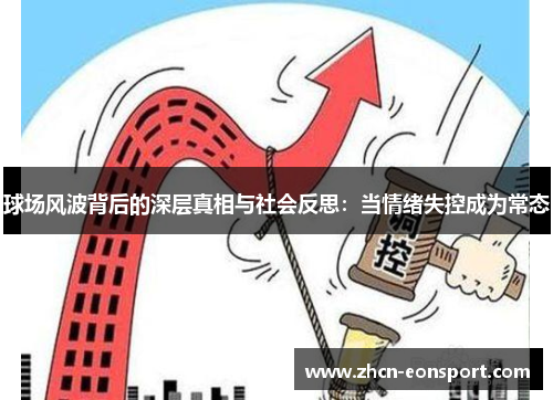 球场风波背后的深层真相与社会反思：当情绪失控成为常态