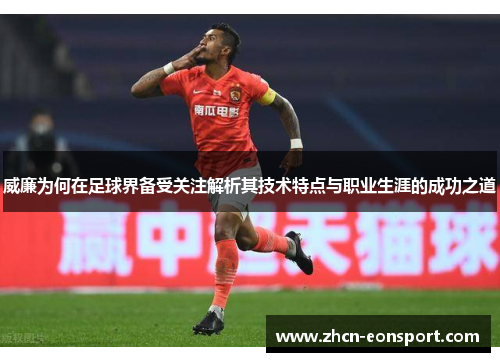 威廉为何在足球界备受关注解析其技术特点与职业生涯的成功之道